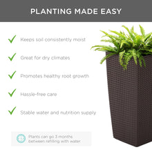 Load image into Gallery viewer, Self-Watering Wicker Planter w/ Caster Wheels, Water Level Indicator
