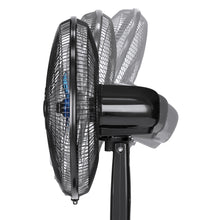 Load image into Gallery viewer, 16in Oscillating Pedestal Fan w/ Timer, Double Blades, Remote Control
